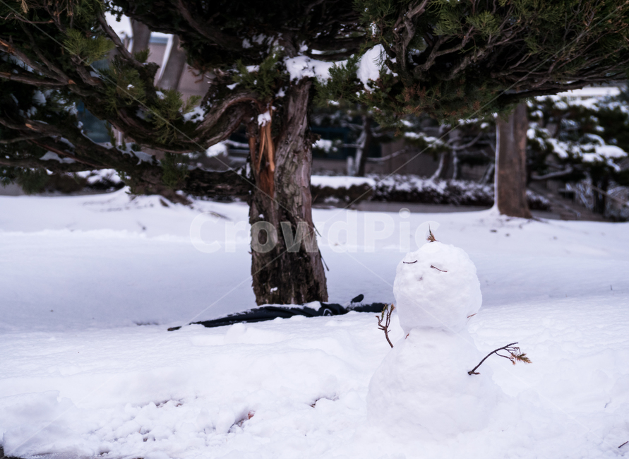 눈,snow,눈사람,snowman,겨울,겨울눈사람,겨울,계절,winter,season