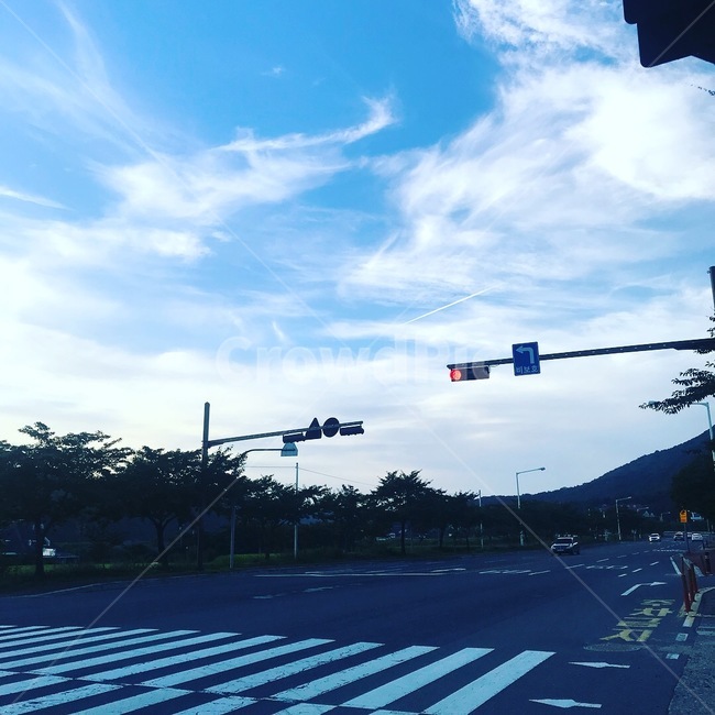도로,풍경,신호등,횡단보도,하늘