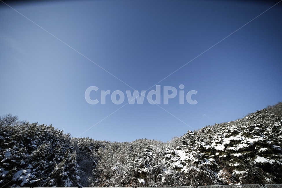 겨울,하늘,들,눈,설경,winter,sky,snow,landscape,풍경,겨울,계절,winter,season,자연,풍경,nature,landscape,plant,식물,tree,나무,fir,전나무,outdoors,옥외