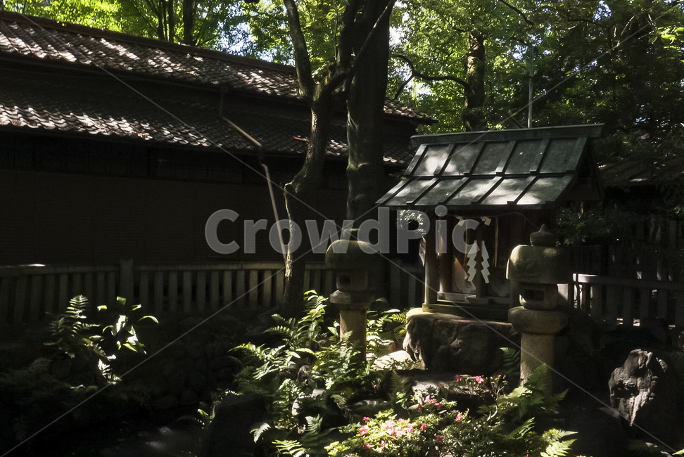 신사,shrine,절,temple,일본,japan