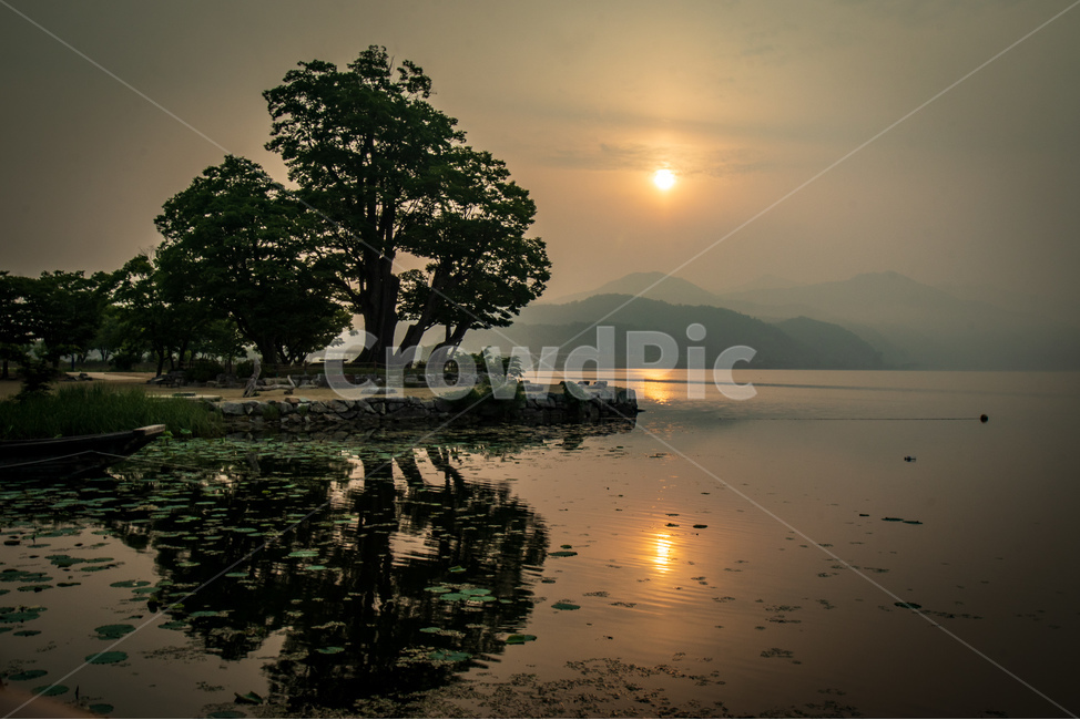 양평,두물머리,일출,일출명소,반영,새벽,자연,풍경,nature,landscape,한국자연풍경,한국자연경관,korea nature landscape,plant,식물,tree,나무