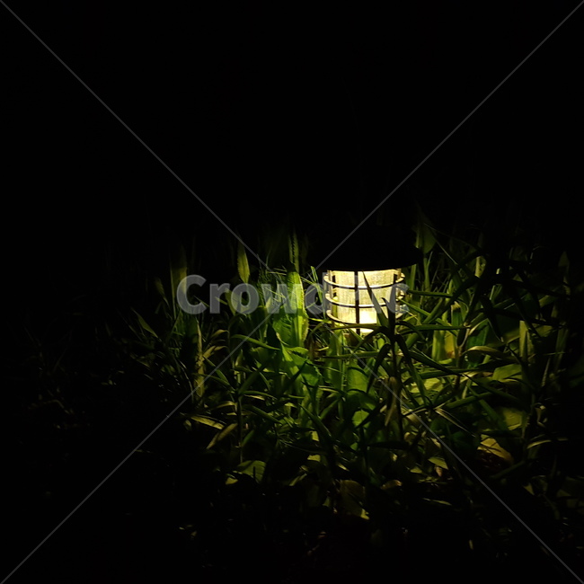 빛,전등,램프,밤,밤빛,어둠,태양광,조명,풀,초록,light
