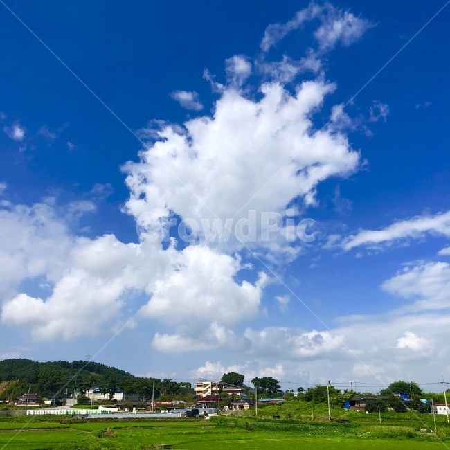 산,구름,논,시골,하늘,파란색,주택,밭,초록색,화창한날씨,나무