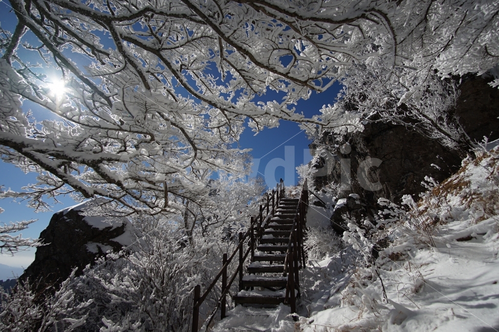 지리산,겨울사진,상고대,눈꽃,눈꽃사진,지리산상고대,산,겨울산행,겨울등산,겨울풍경,자연,풍경,nature,landscape,겨울,계절,winter,season,outdoors,옥외