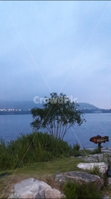호수공원,바람,물,바위,나무,자연,풍경,nature,landscape,water,outdoors,옥외,land,땅
