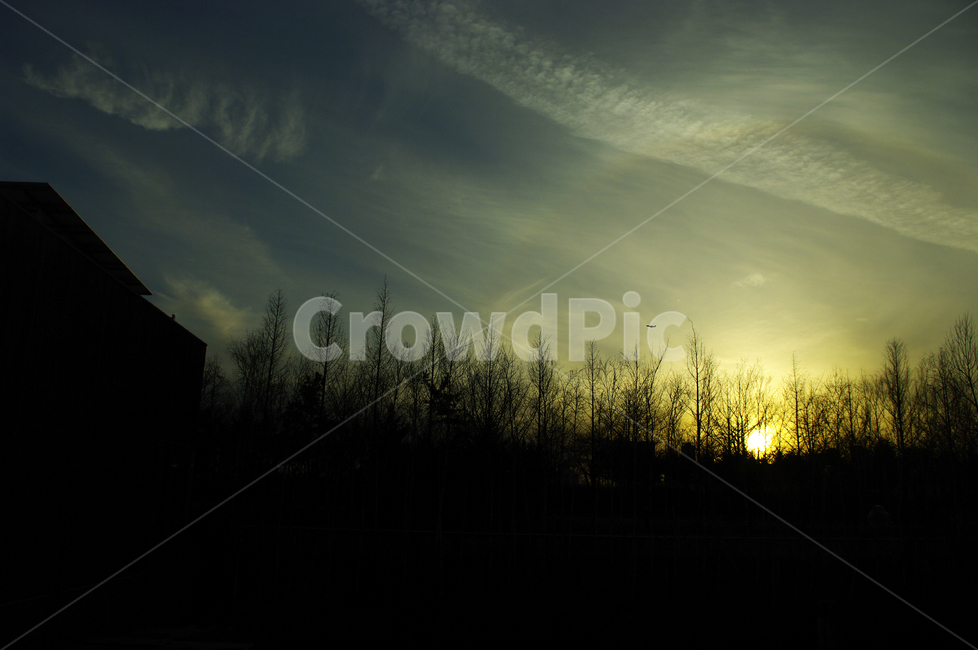 노을,일몰,sunset,하늘,구름,풍경,나무,식물,plant,자연,풍경,nature,landscape,outdoors,옥외,sunlight,햇빛,flare,플레어,light,빛