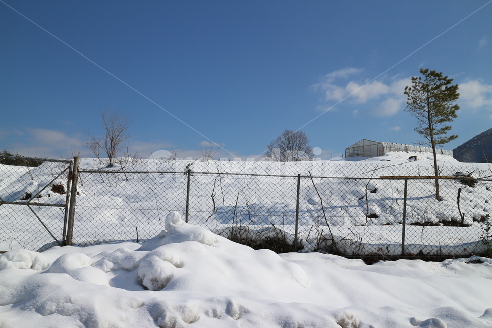 겨울,눈,winter,snow,마을,village,하늘,sky,겨울,계절,winter,season,자연,풍경,nature,landscape,outdoors,옥외