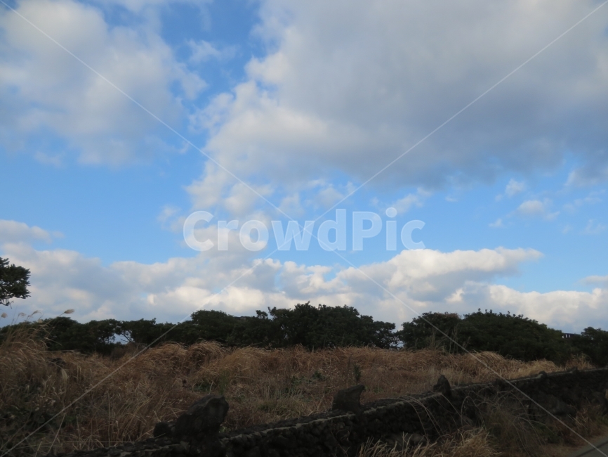 하늘,풍경,구름,일상,나무,자연,풍경,nature,landscape,outdoors,옥외,weather,날씨