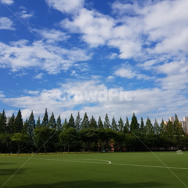 구름,맑음,감성사진,하늘,감성,자연,풍경,nature,landscape,plant,식물,grass,잔디,lawn