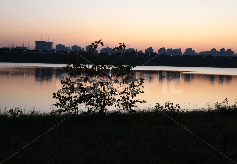 강가,노을,자연,풍경,해너미,나무,도시,풍경,city,landscape,한국도시풍경,한국도시경관,korea cityscape,nature,outdoors,옥외,water,물