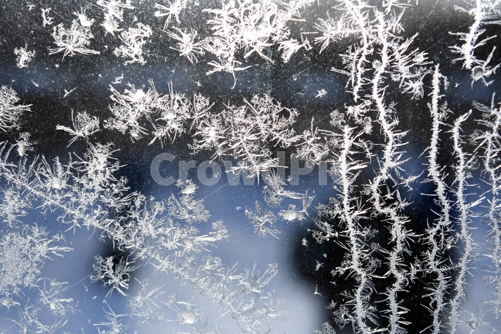 겨울,풍경,한라산,눈,겨울산,눈꽃,제주도,상고대,나무,서리,겨울,계절,winter,season