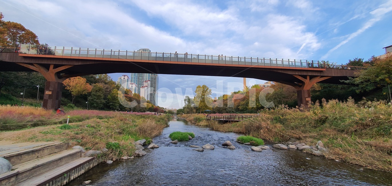 양재천,서울,하천,river,자연,seoul,korea