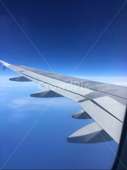 여행,비행,비행기,하늘,푸른,교통,교통수단,traffic,transportation