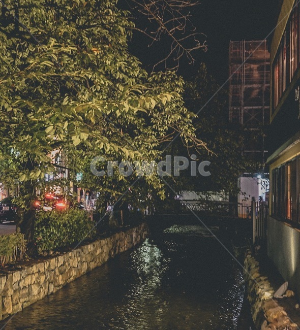 야경,밤,건물,나무,불빛,개천,강,교토,일본,trees,night,nightview,lights,building,river,kyoto,japan,landscape,yellow,야경,밤,풍경,nightscape,night,landscape,path,통로,walkway,보도