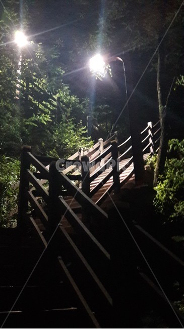 산책,계단,인생,불빛,길,나무,저녁