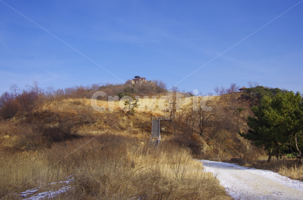 하늘,동산,겨울,눈,흰눈,억새,산행,풍경,풍경사진,감성,감성사진,정취