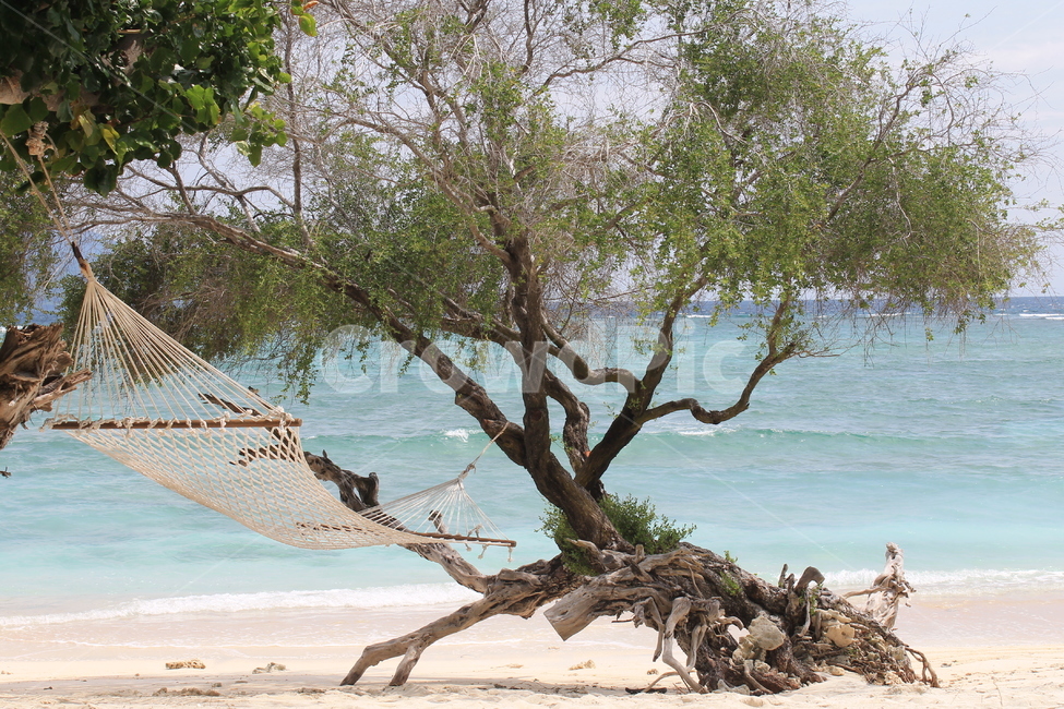 인도네시아,길리,해변,나무,나무해변,indonesia,gili,beach,beachandtree,nature,sea,해먹,고즈넉,편안