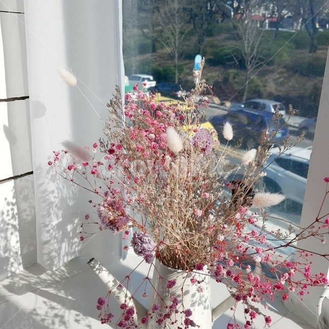 식물,인테리어디자인,인테리어,인테리어소품,드라이플라워,감성사진,감성