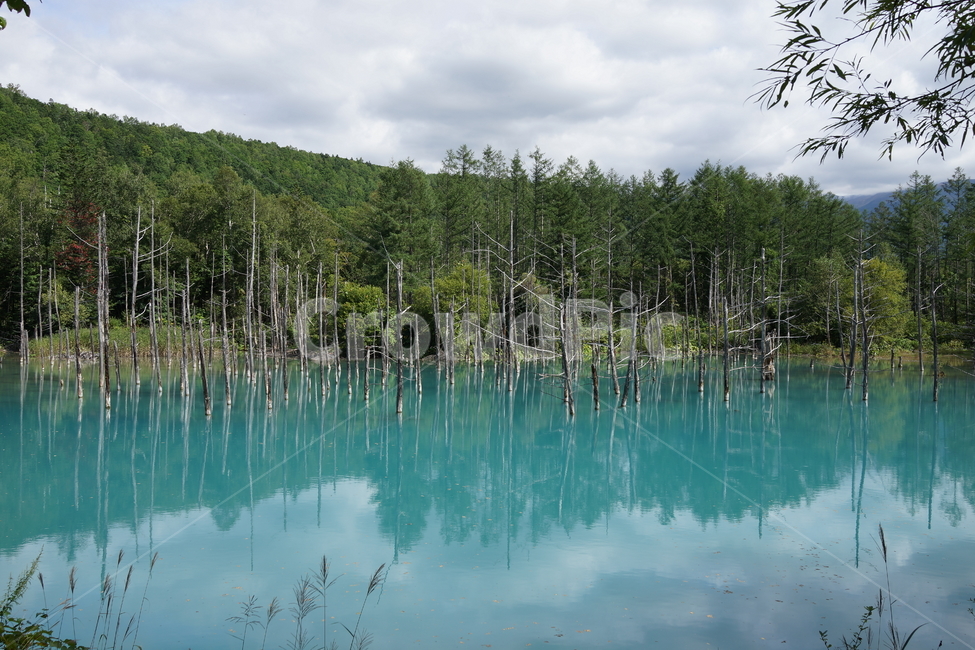 홋카이도,삿포로,아오이이케,호수,청의호수,자연,풍경,nature,landscape,해외,외국,세계,foreign,oversea,world,세계자연풍경,해외자연풍경,외국자연풍경,world nature landscape,water,물,land,땅,outdoors,옥외