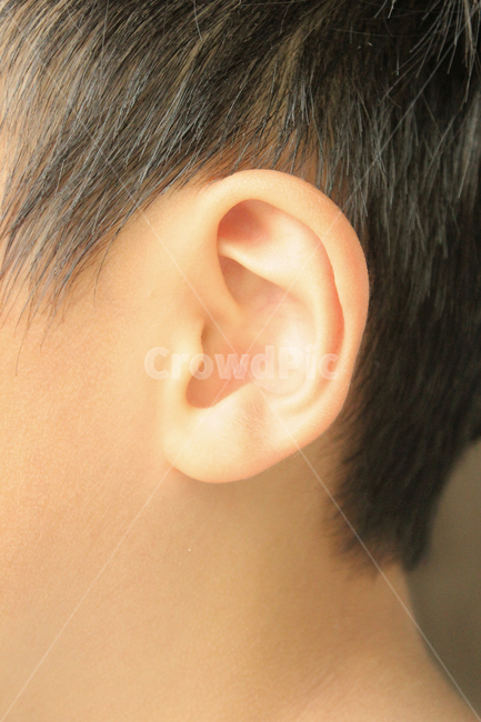asian,baby,body,boy,child,closeup,ear,hair,head,human,kid,listen,men,people,person,skin,sound,young,동양인,아시아인,어린이,아이,아기,소년,남자아이,남자,신체,몸,클로즈업,얼굴,머리,머리카락,키즈,사람,피부,귀,소리,젊은,듣기,귓바퀴,옆모습,구렛나루,사람,인물,인간,human,person,신체일부,몸,body,어린이,어린아이,child,children,kid
