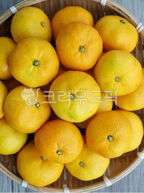 mandarin,citrus fruits,tangerine,jejutangerine,Jeju Island Specialties,fruit,yellow,jeju island,jejuisland,food,tangerines,citrusfruit,jejuislandspecialties,background,plant,Jeju tangerines