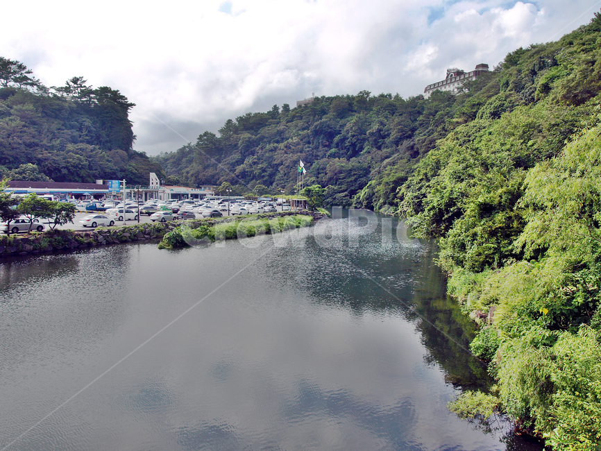 천지연폭포,하천,서귀포시,제주,숲,자연,자연,풍경,nature,landscape,water,물,outdoors,옥외