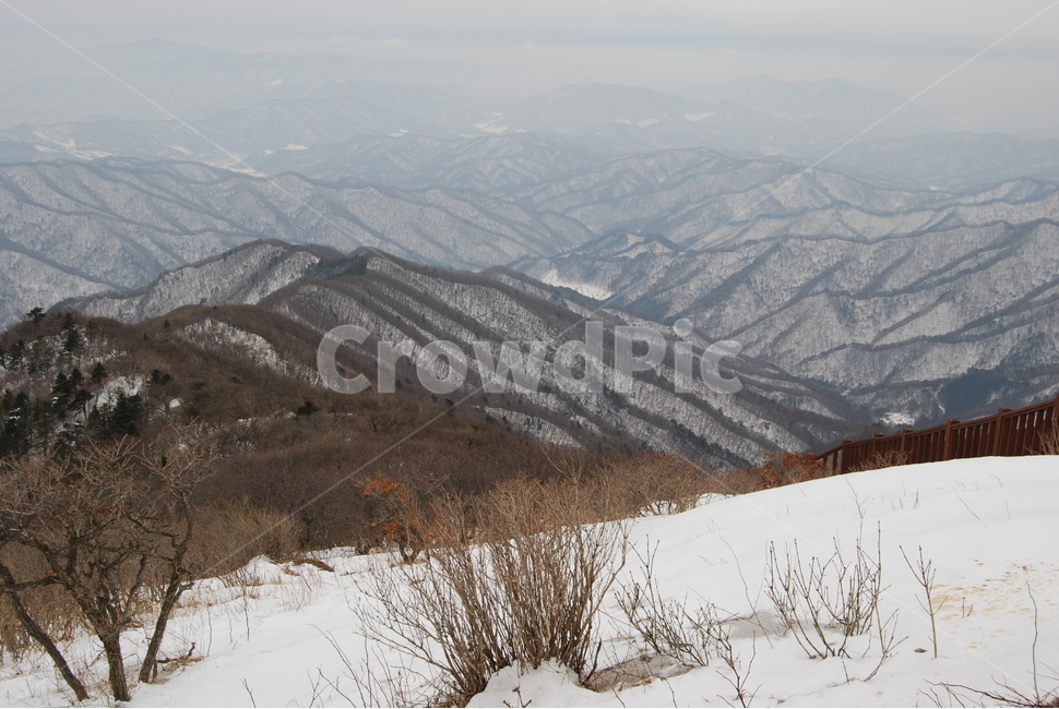 계방산,겨울산,휴양림,겨울,자연,겨울,계절,winter,season,자연,풍경,nature,landscape,한국자연풍경,한국자연경관,korea nature landscape,mountain,산,mountain range,산맥,outdoors,옥외,slope,경사