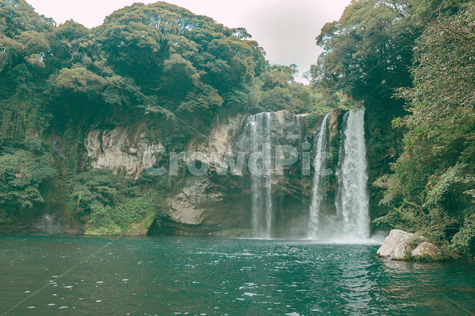감성사진,천지연,제주도,봄,폭포,천지연폭포,자연,풍경,water,waterfall,nature,landmark,landscape,view,popular,attraction