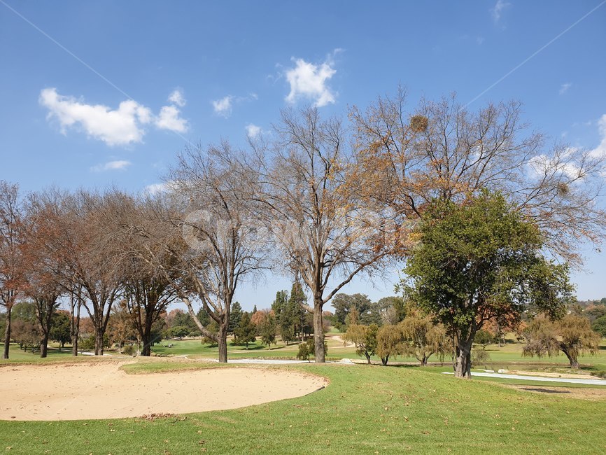 golf,골프,파란하늘,단풍,가을,햇살,구름,나무,골프장