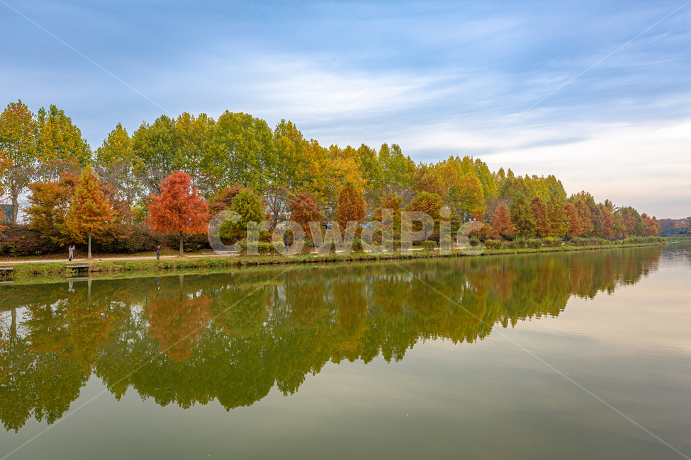 낙엽,가을,관방제림,단풍,산책,반영,나무,nature,옥외,lake,자연,호수,water,물,outdoors,가을풍경,강