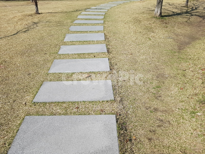 봄,잔디,4월,파릇파릇,돌다리,산책로,나무