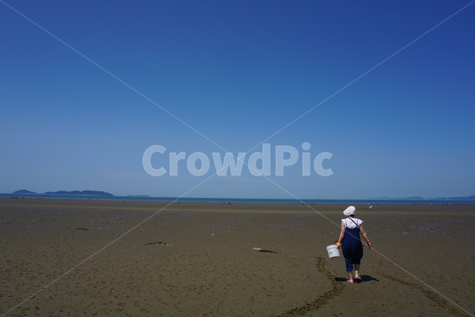 person,사람,human,인간,foreshore,갯벌,woman,여인