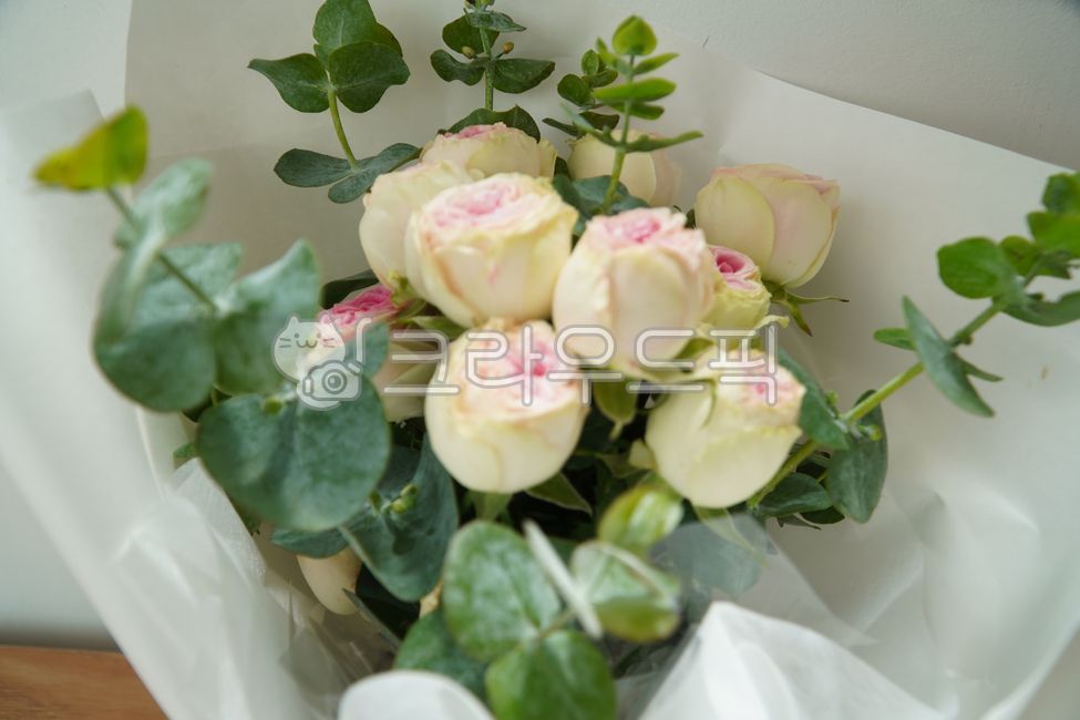 장미,자나장미,유칼립투스,꽃다발,식물,꽃꽂이,flowerbouquet,꽃부케,flower,꽃,꽃,flower,기념일,축하,anniversary,congratulation,celebrate,celebration