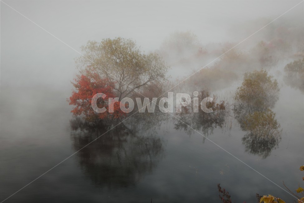 자연,날씨,안개,댐,나무,자연,풍경,nature,landscape