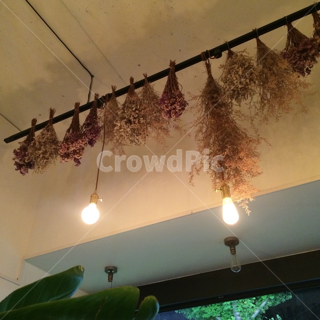 포항시,상도동,전구,꽃,분위기있는,조명,인테리어,실내디자인,interior design