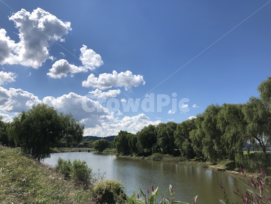 한강,하늘,맑은하늘,강,봄하늘,가을하늘,초록,수풀,구름,river,green,sky,자연,풍경,nature,landscape,outdoors,옥외