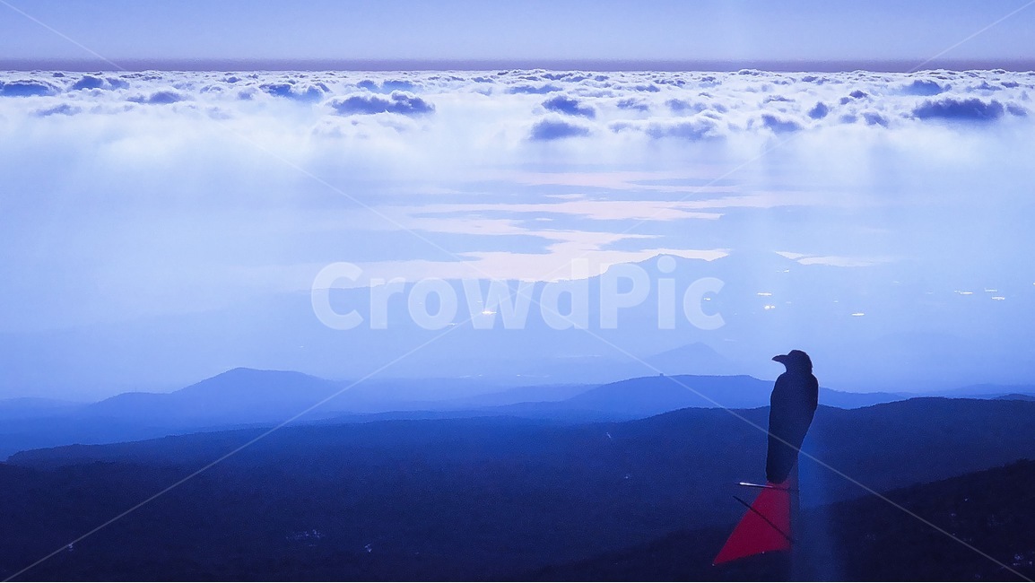 산,새,까마귀,한라산,제주도,햇빛,구름,자연,풍경,nature,landscape,조류,새,birds,outdoors,옥외,adventure,모험,leisure activities,레저 활동