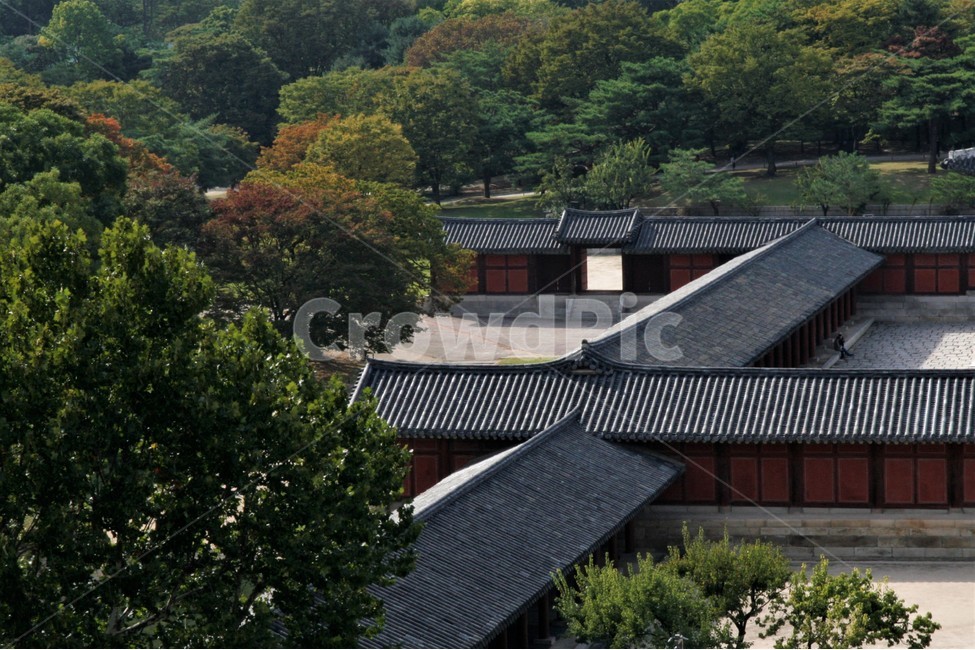 창경궁,전통,고궁,가을,풍경,한국전통,한국문화,korean traditional,korean culture,랜드마크,landmark,tourist attraction,한국랜드마크,한국관광지,한국명소,korea landmark,korea tourist attraction,건축물,건물외관,exterior,building,structure,architecture,construction