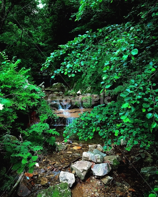 산,폭포,계곡,청량함,산뜻함,물