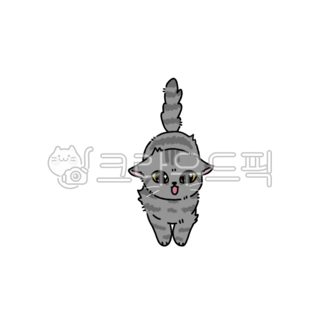 cat,pet,angry animal,angry cat,jaw,animal