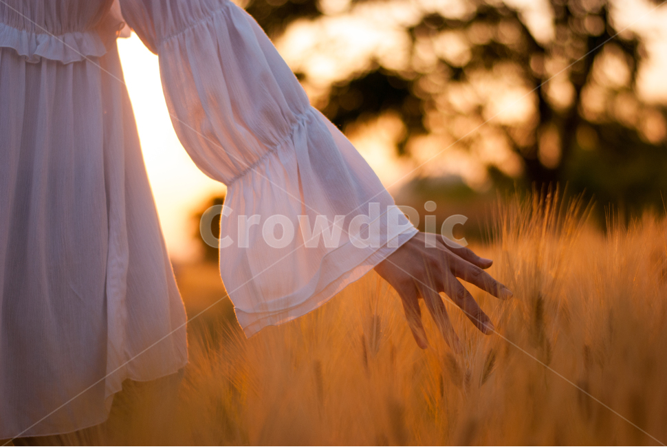 청보리밭,노을,보리밭,sunset,보리,사람,인물,인간,human,person,여성,여자,woman,female,lady,감성,sensible,feeling