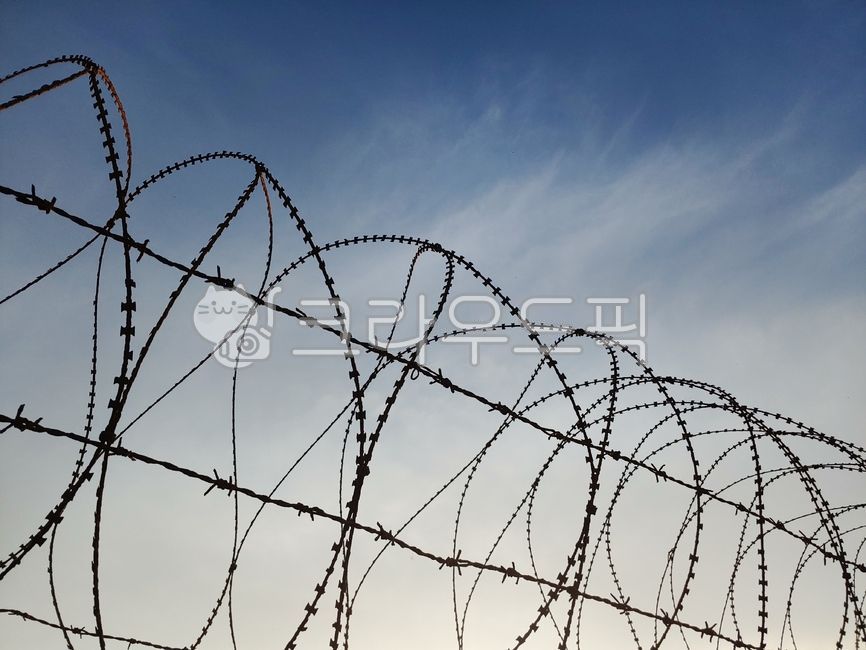 철사, wire, 철조망, 철책, 하늘, 사진,이미지,일러스트,캘리그라피 - 작은새작가