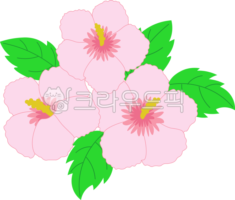 무궁화,꽃,국화,대한민국,한국,무궁화꽃,애국,삼일절,현충일,제현절,광복절,개천절,한글날,육이오,625,국경일,무궁화의날,식물,flower,korea,roseofsharon,호국보훈