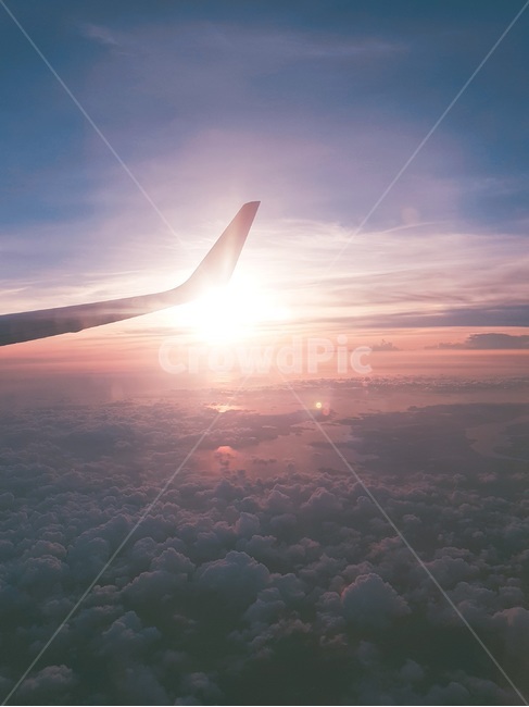 하늘,자연,sky,노을,비행기
