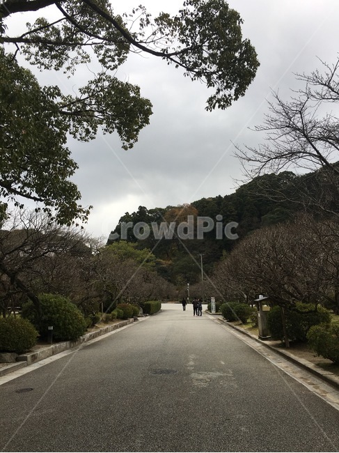 후쿠오카,일본,산,나무,도로,흐림,풍경