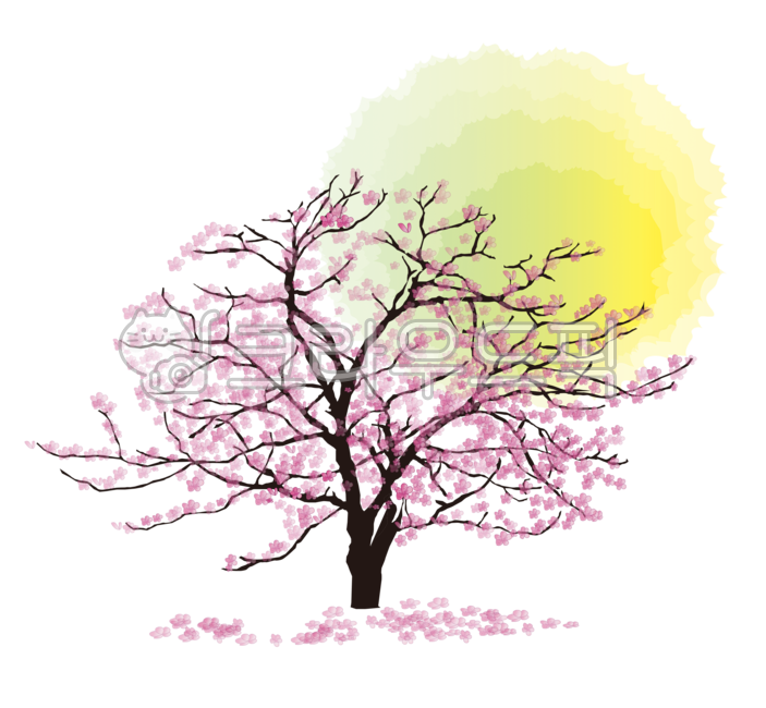 벚꽃,봄꽃,봄소식,벚꽃일러스트,아지랑이,flower,plant,식물,낙화,나뭇가지,고즈넉,감성