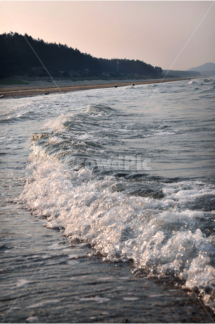 파도,바다,해변,해수욕장,큰파도,포말,저녁,밤바다,거품,자연,풍경,nature,landscape,water,물,sea,outdoors,옥외,ocean,대양