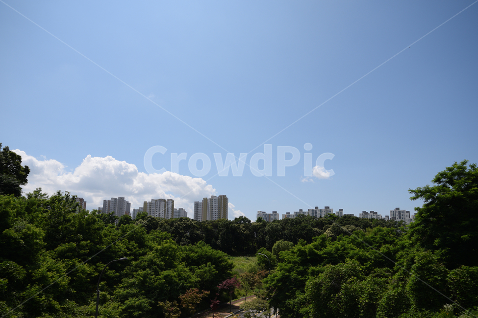 풍경,시티라인,하늘,구름,아파트,길,숲,나무,풀,도시,풍경,city,landscape,outdoors,옥외
