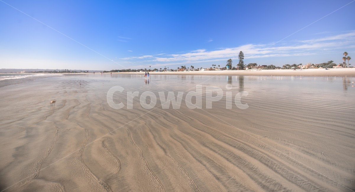 nature,자연,shoreline,해안선,water,outdoors,옥외,ocean,대양,sea,바다,백사장,친구,해변,바다,beach,sea