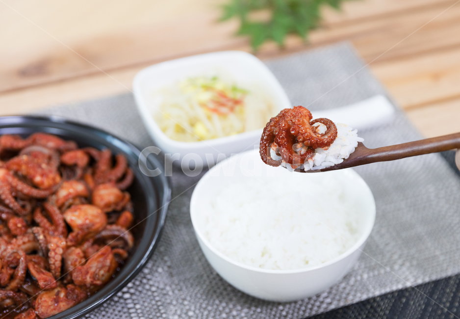 음식,쭈꾸미볶음,식사,안주,쭈꾸미,저녁식사,한식,korea,spicy,오징어볶음,식당,매콤,매운맛,red,맛집,고추장,고춧가루,식재료,요리,cook,reserves,수산물,해산물,fisheryproducts,seafood,한국음식,한국요리,food,dishes,korean,meal,koreancook,맛있다,먹다,맵다,소스,볶음,음식,식재료,요리,food,cook,meal,dishes,food reserves,한식,한국음식,한국요리,korean food,korean dishes,korean meal,korean cook